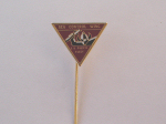 Stick pins
