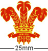 Welsh Feathers Badge