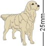 Golden Retriever Dog Badge